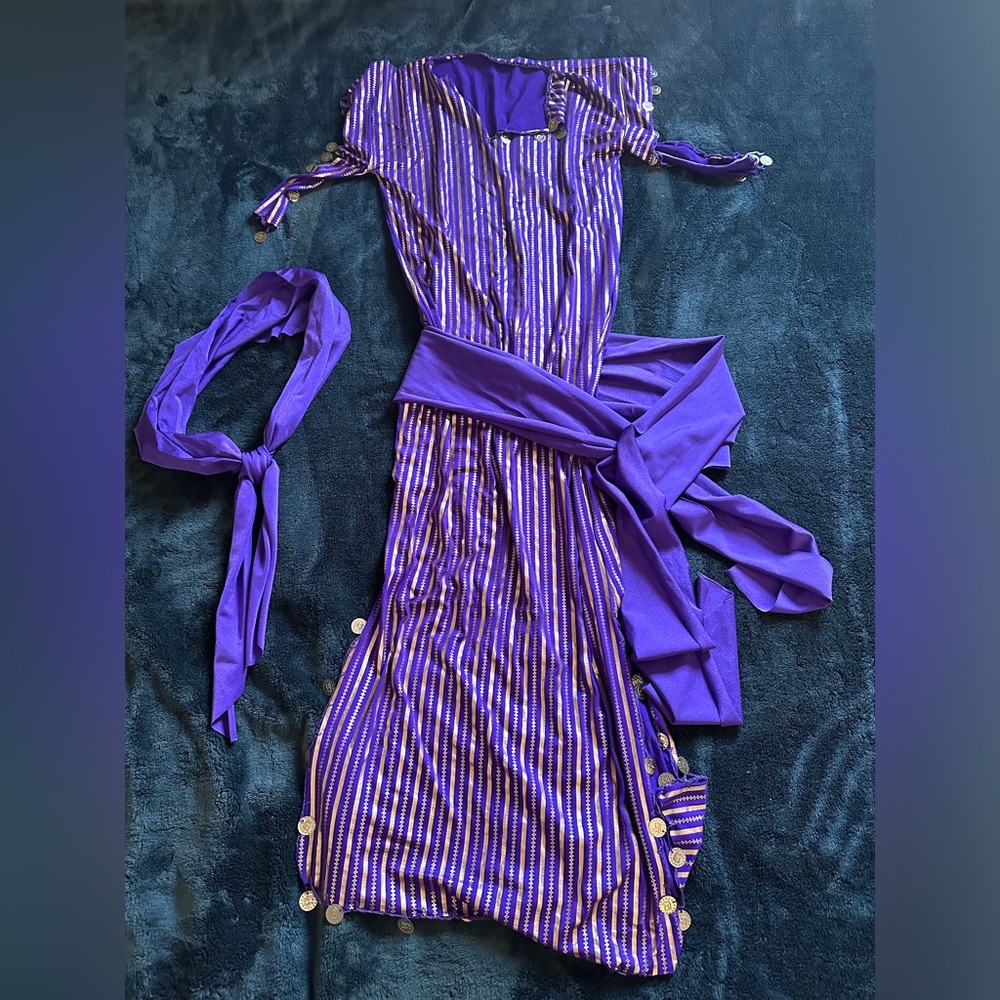 egyptian baladi saidi bellydance one size costume